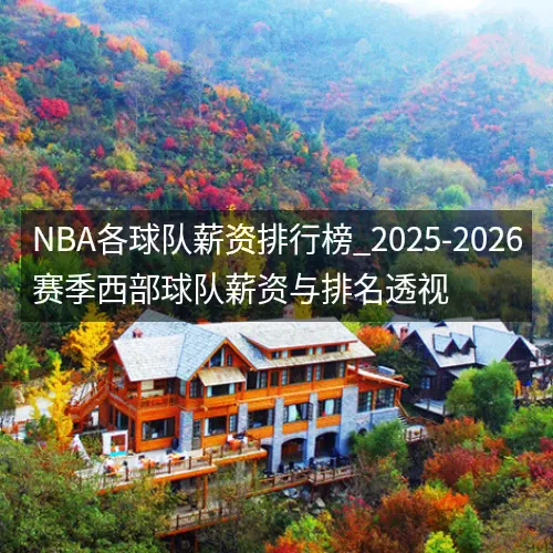 nbq各球队薪资排行榜_2025-2026赛季西部球队薪资与排名透视